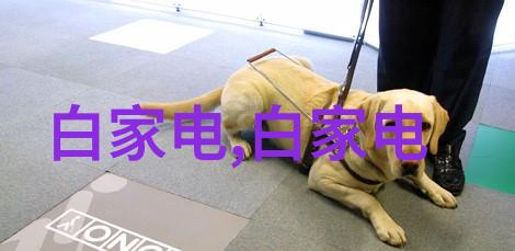 现代简约室内装修风格探索轻盈时尚的空间艺术