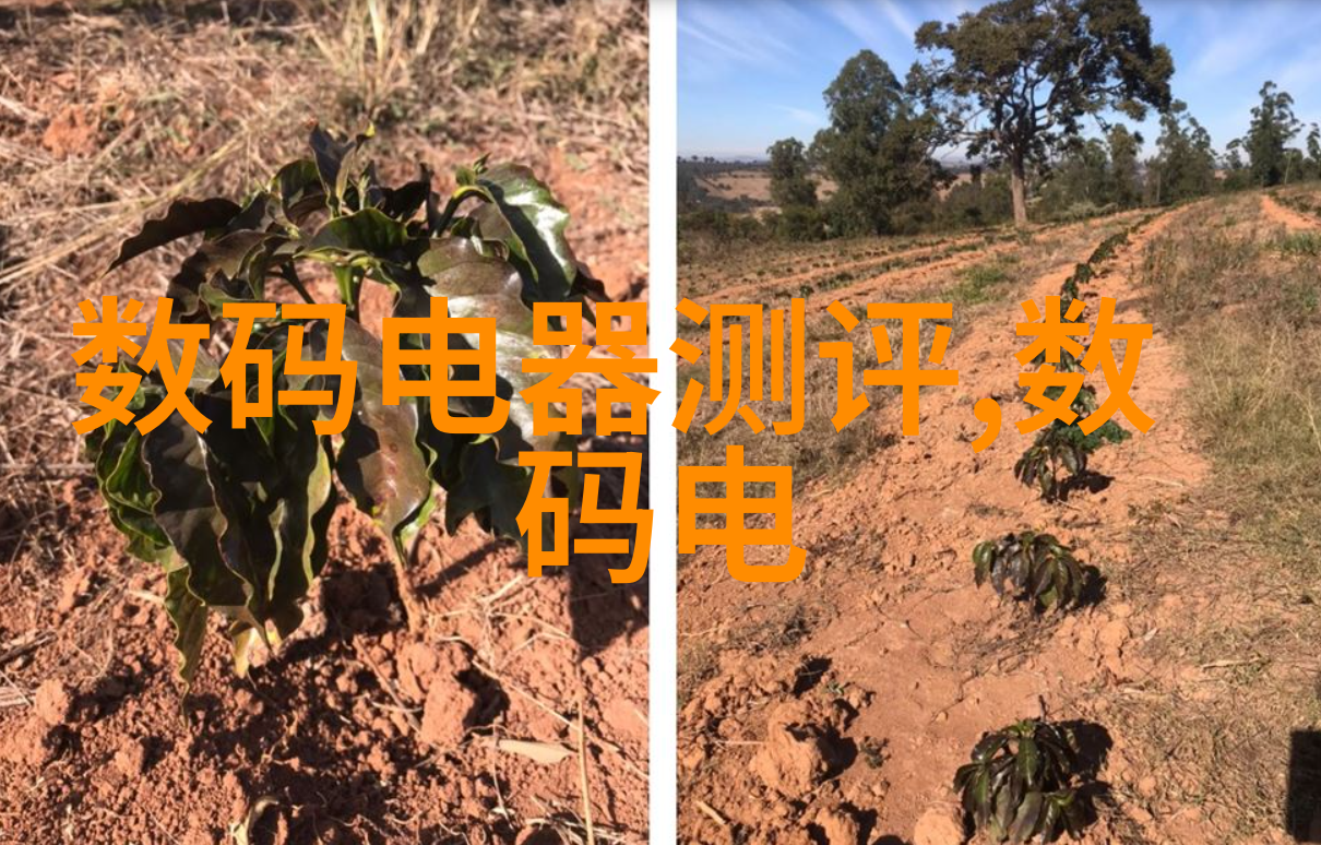 水源之谜学校大型净水机背后的秘密