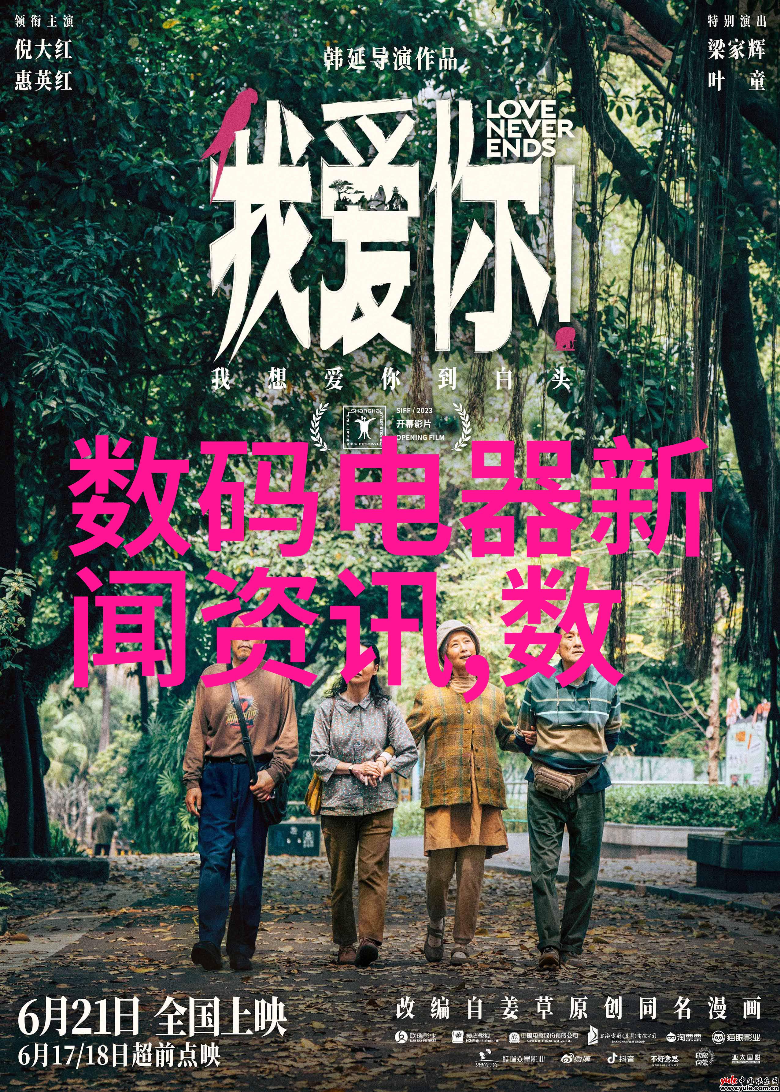 如何通过动物反应器软件提升猫咪的行为和情感健康