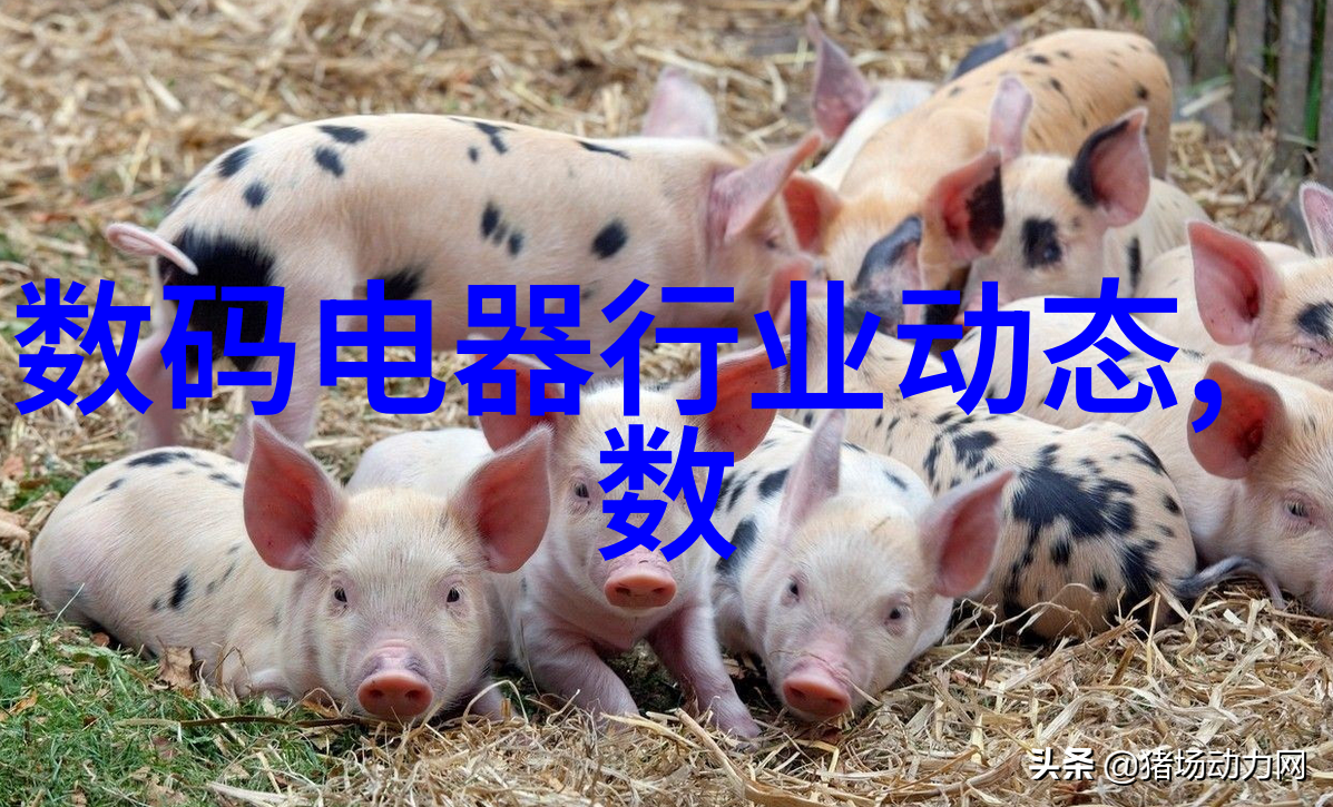 铜雀锁金钗-翡翠梦回古都探寻传说中的爱情与忠诚