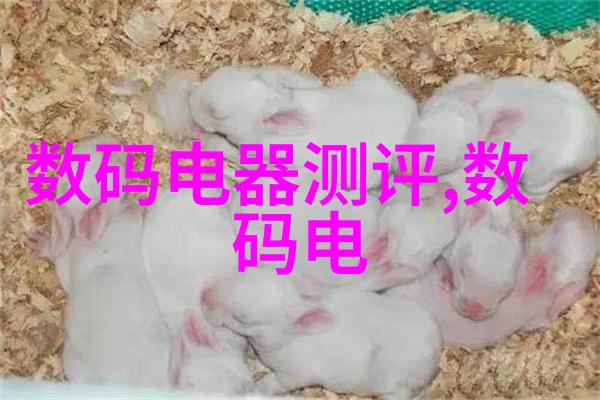 超级吸附揭秘高效吸附剂的科学奥秘与应用前景