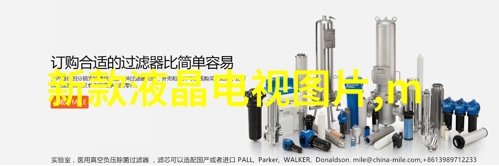 美人殇新浪时代的孤独与爱情