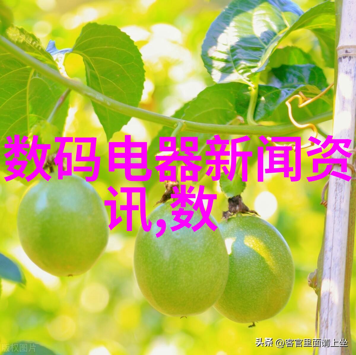 智能手机硬件高性能处理器超清晰摄像头大容量电池