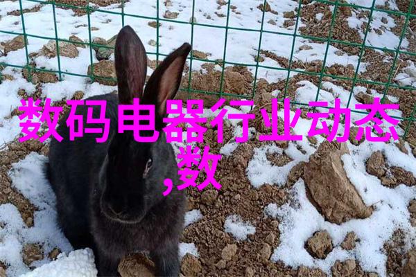 炫彩升级2023年CPU排行榜的天梯之旅