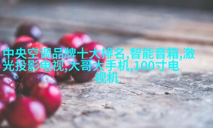 摄影师Aneel