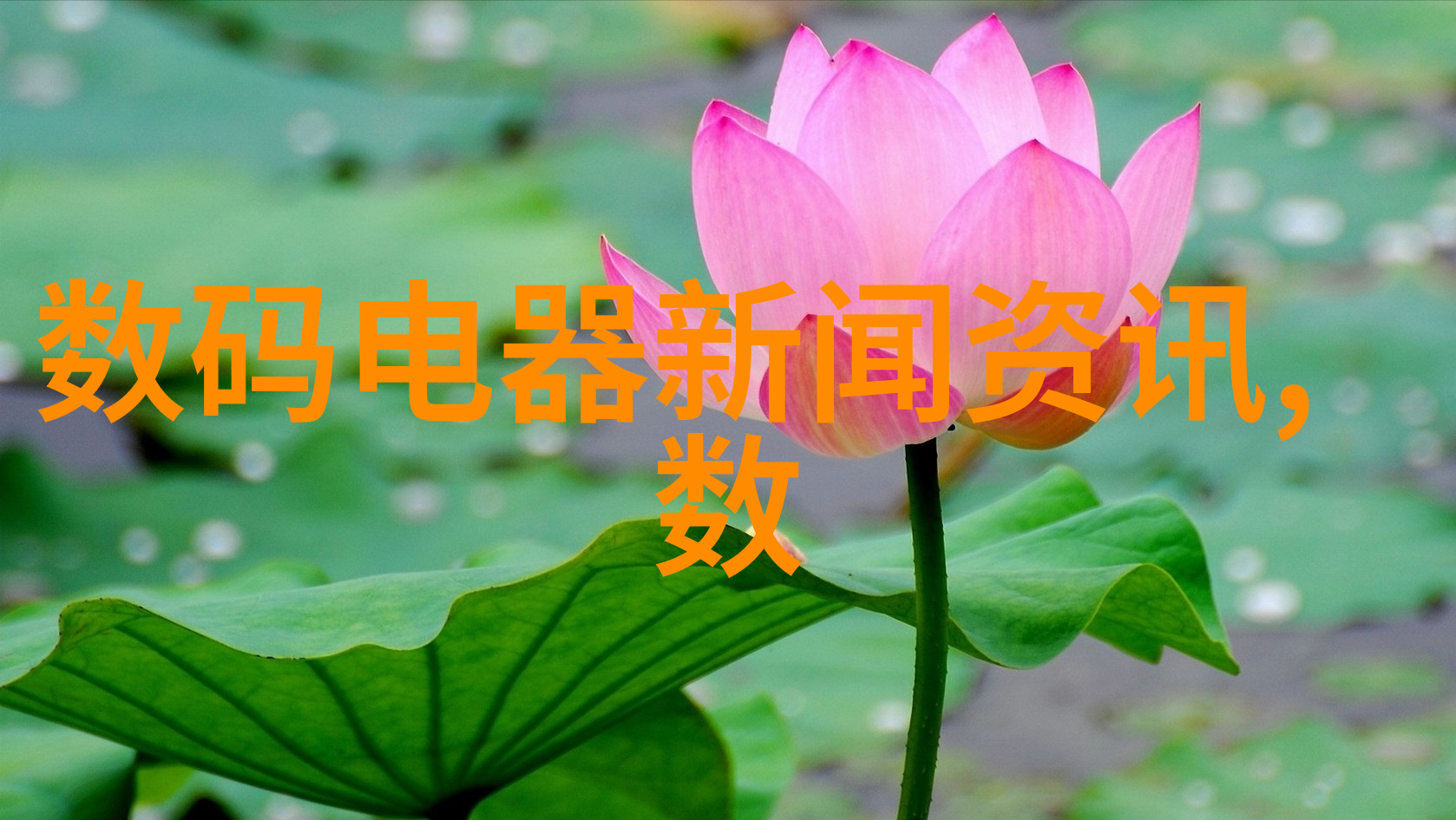 全自动灌装机精准流线与效率双馈的现代食品包装革命