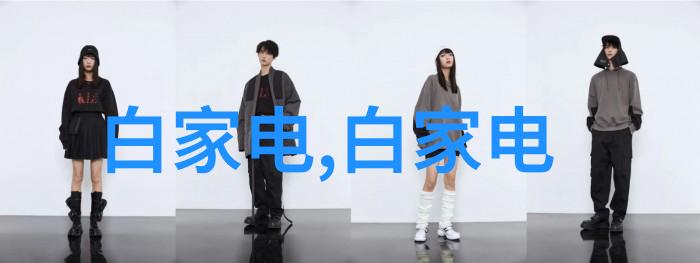 家庭水质测试的智慧守护者揭秘那些神奇的仪器