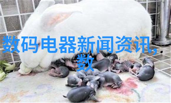 智能化改造下的大型中药提取浓缩设备将带来什么样的运营便利性提升