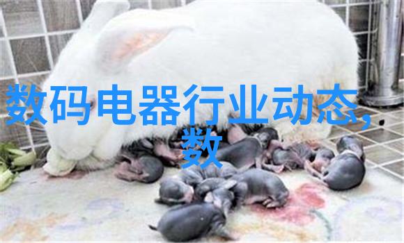 电影中的热情拥抱紧密相拥的秘密之恋