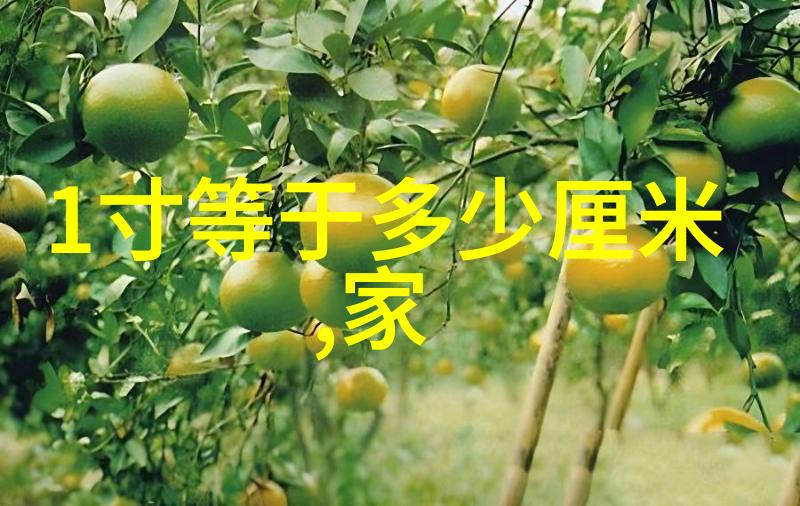 应用市场官方下载安装安全便捷的数字生活选择