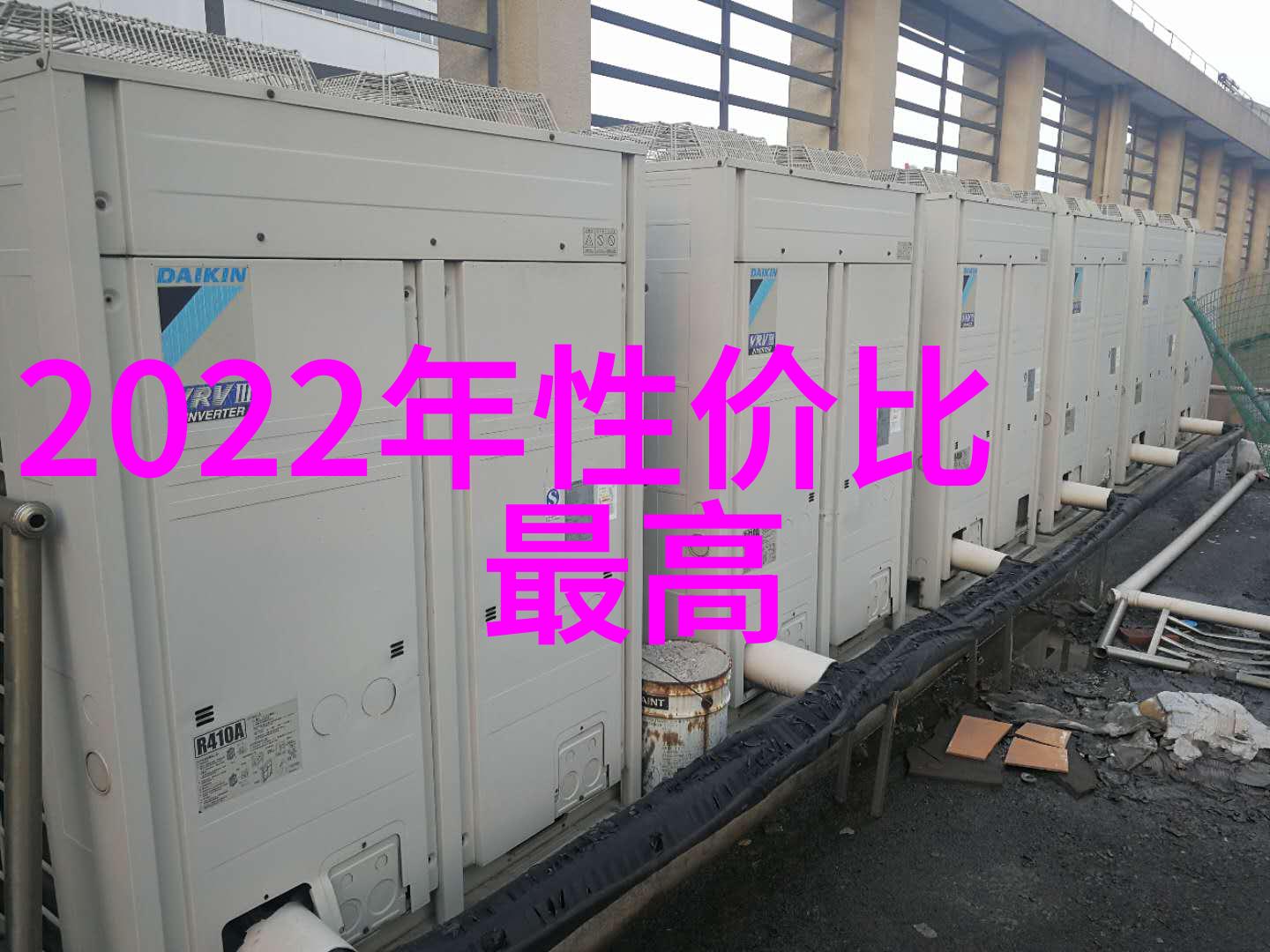 男人的坤巴扎进女人的坤巴里爱情的奇幻旅程