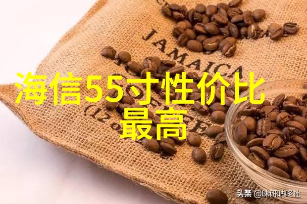 机器人与爱与死亡的哲学探究超越生化界限的伦理回应