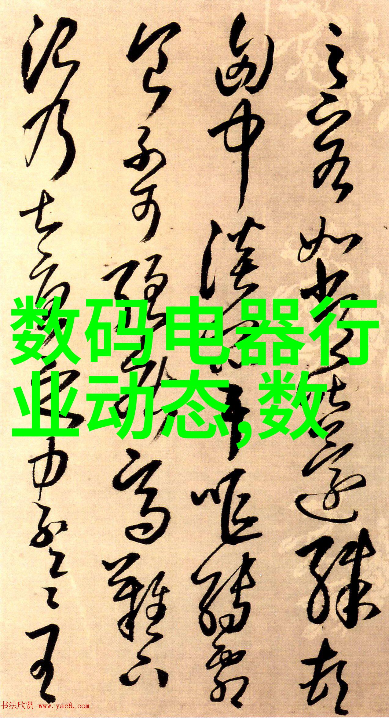 美国XXXXXL19D-解密超大号码揭秘美国XXXXXXXXX19D背后的故事