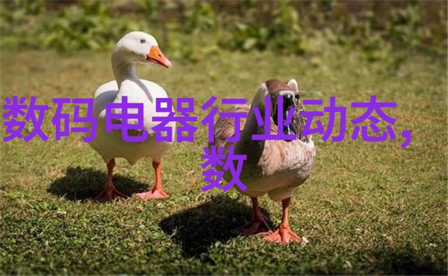 工业自动化中的管式螺旋输送机技术革新与应用前景