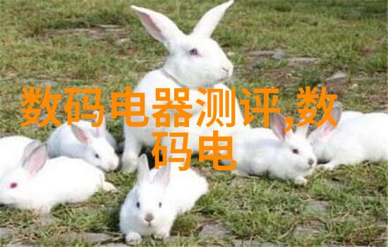 膜分离的奇妙世界从水分到蛋白如何选择最适合你的人生密码器
