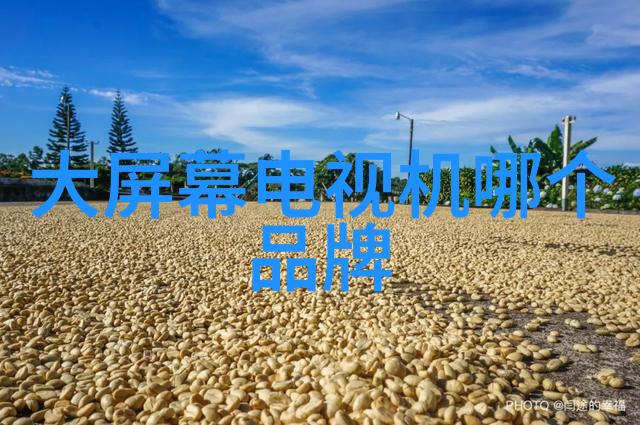 Android系统的未来发展趋势与创新应用探究