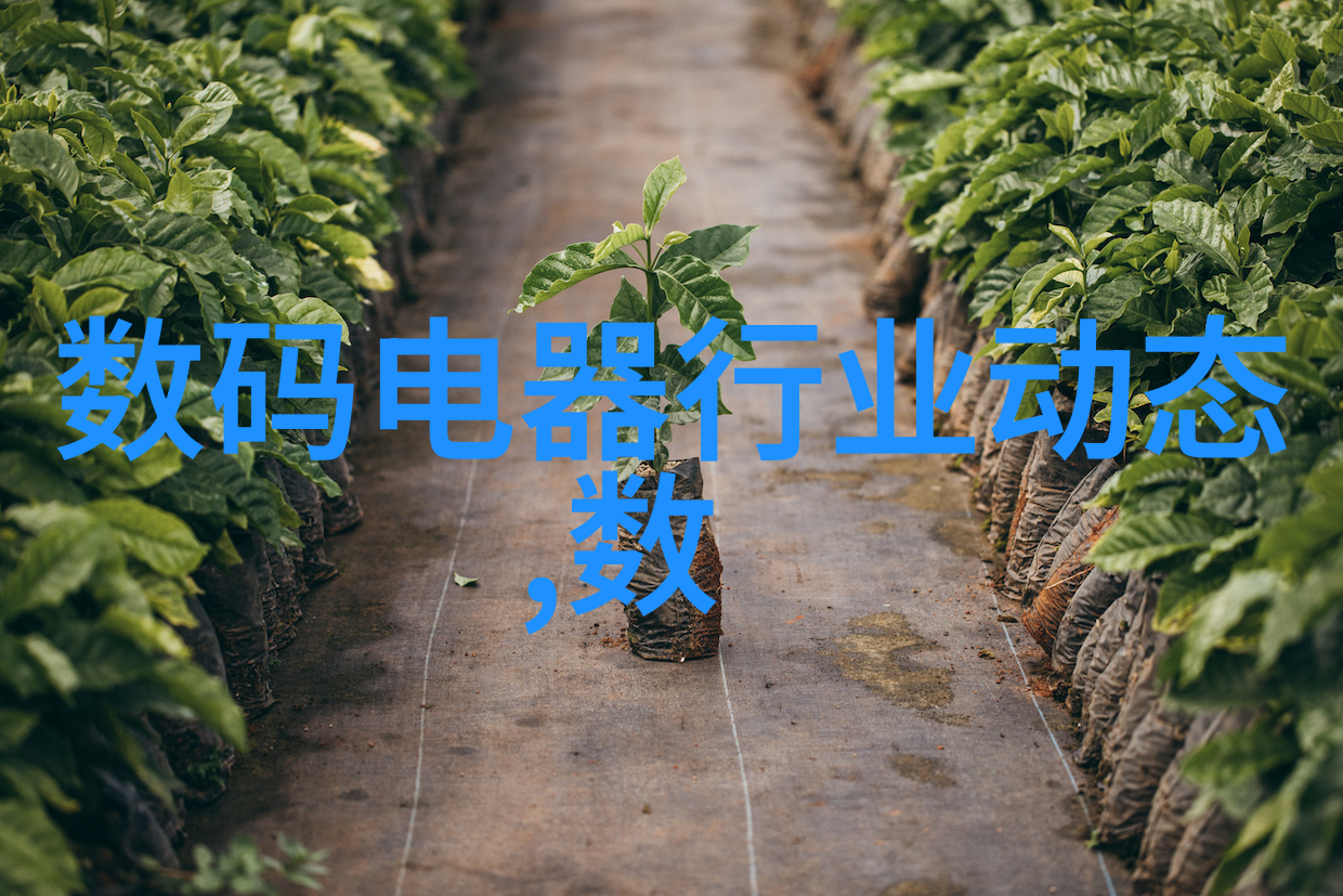 塑料污染的克星分离器如何拯救地球