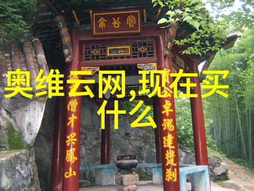雷蒙机的历史与发展简史