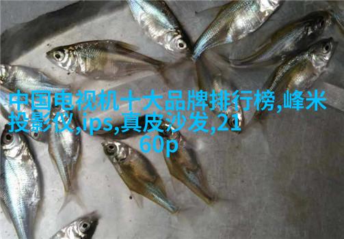 盘子女人坊现场爆棚，门庭若市
