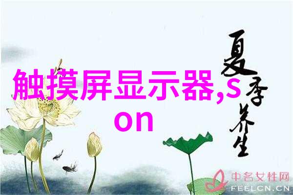 dn50金属环矩鞍填料hetp拯救世界一个螺丝钉的冒险