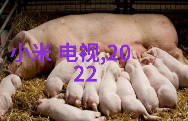 未来环保趋势TDSP总配液指数取代传统TDS测试吗