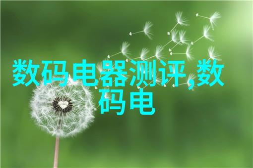 粘土泥石分离机原理与应用研究基于物理力学的新型矿物资源回收技术