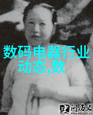 不锈钢丝网填料网-耐腐蚀的工业筛分解决方案