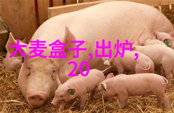 检测水质的工具与方法