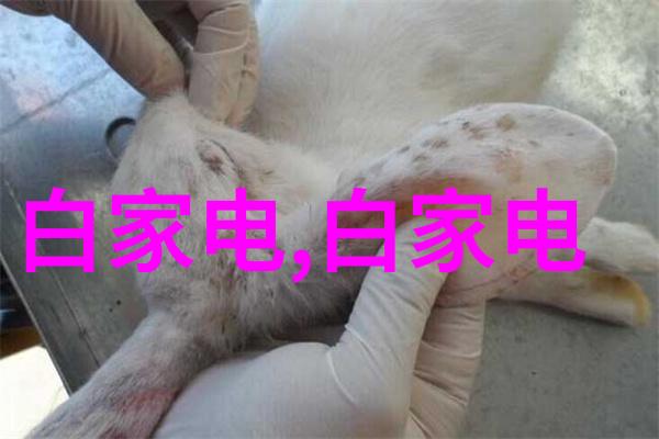 丝网规整填料型号应用与选择指南
