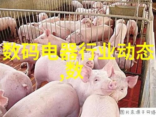 特种兵多汁多肉的糙汉文推荐军事文学硬派小说特种部队
