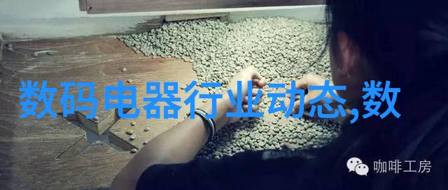 干法制粒机高效干燥与精细加工的完美结合