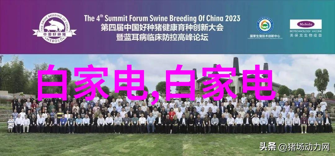 生活便利-寻找附近的PE管销售点一篇实用指南