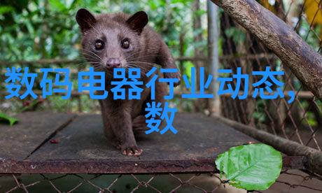 加热棒我的烹饪小伙伴