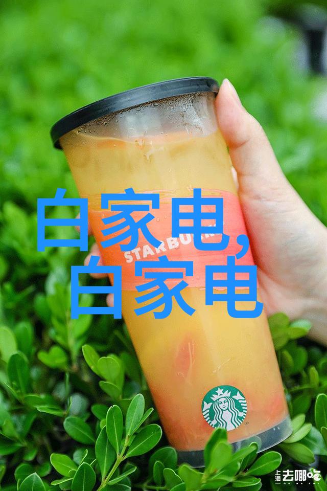废气处理系统工艺流程图-清洁生产的艺术如何通过图解实现零废气目标