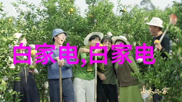 高效节能的废水处理设备探讨创新技术与环保应用