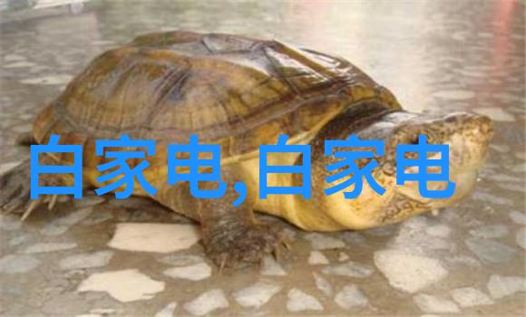 镀锌钢管价格飙升一吨成本究竟为何