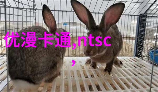 沈腾机器人电影叫什么-机甲奇缘沈腾的梦想