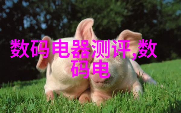 我家卫生间的渗水问题怎么处理