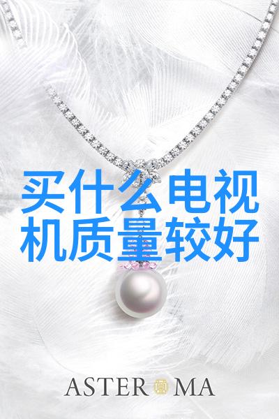锡纸微波炉的奇妙烹饪如何安全地使用金属食品袋在家中烤制美食