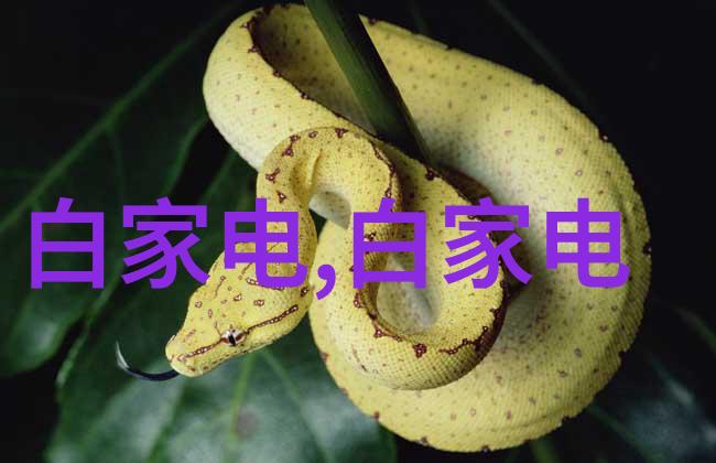微观奇迹揭秘芯片的精妙制造过程