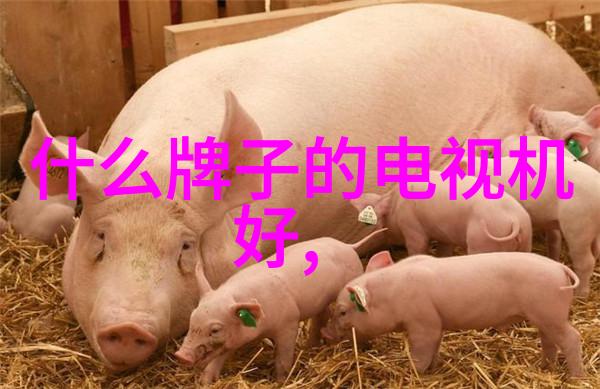 我要买冰箱快去超市挑个好看又省电的吧
