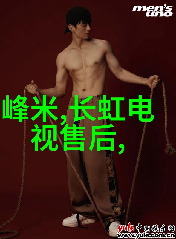 蒸汽之轮高压灭菌器的奇迹与挑战