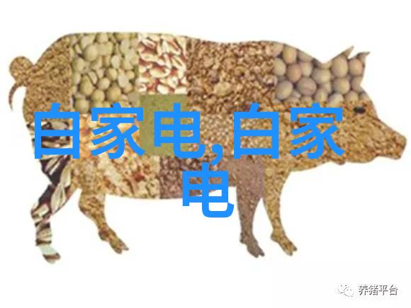 芯片概念股从硅基奇迹到市场波折的双重奏鸣