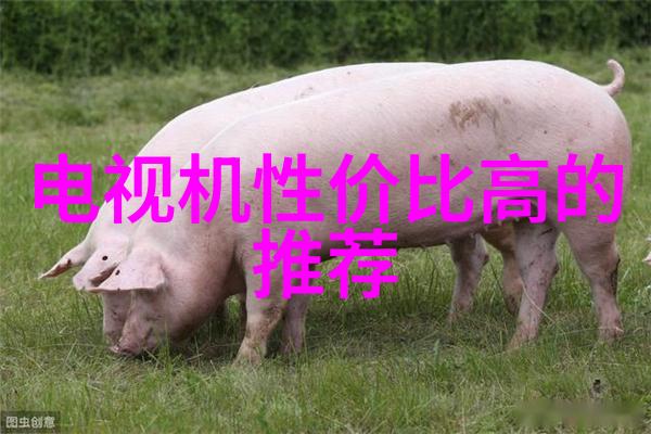 超级机器人大战V钢铁巨兽的终极对决