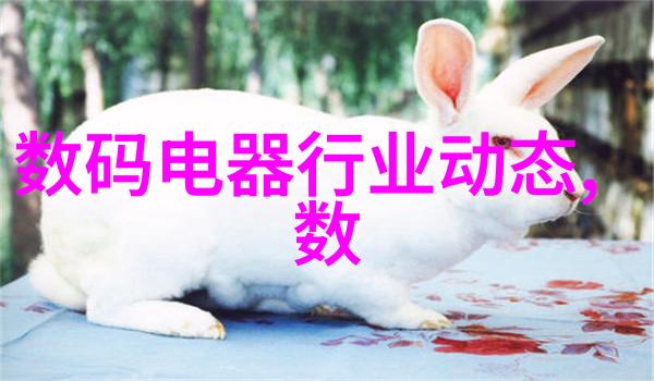 资金之流项目申请的纵深探究
