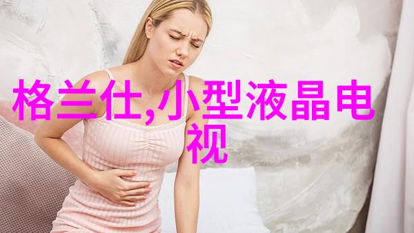 北斗芯片引领全球定位技术的智慧之星