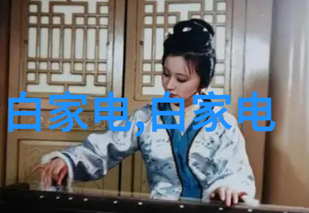 妈妈的职业生涯全景视频翻译第四部
