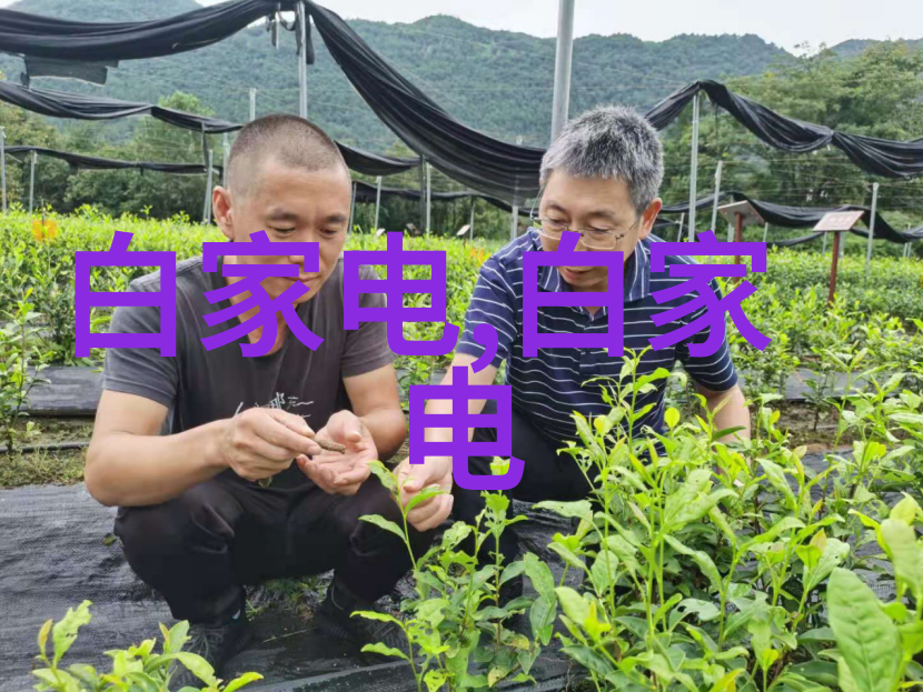 危险化学品安全管理条例我是如何避免危险的