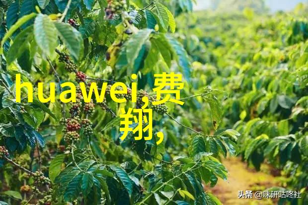 激活潜能促进剂在生活与工作中的应用与影响