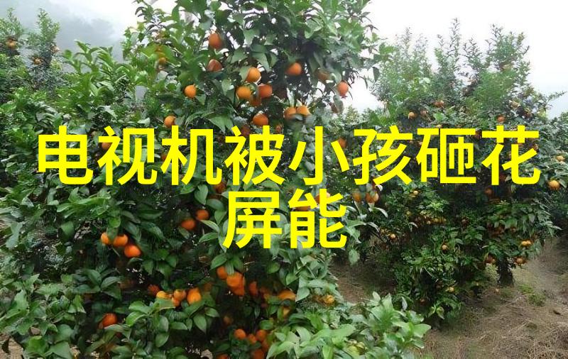 丝网波纹填料厂家织梦的机械诗人